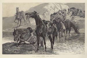 أخبار سيئة من الجبهة